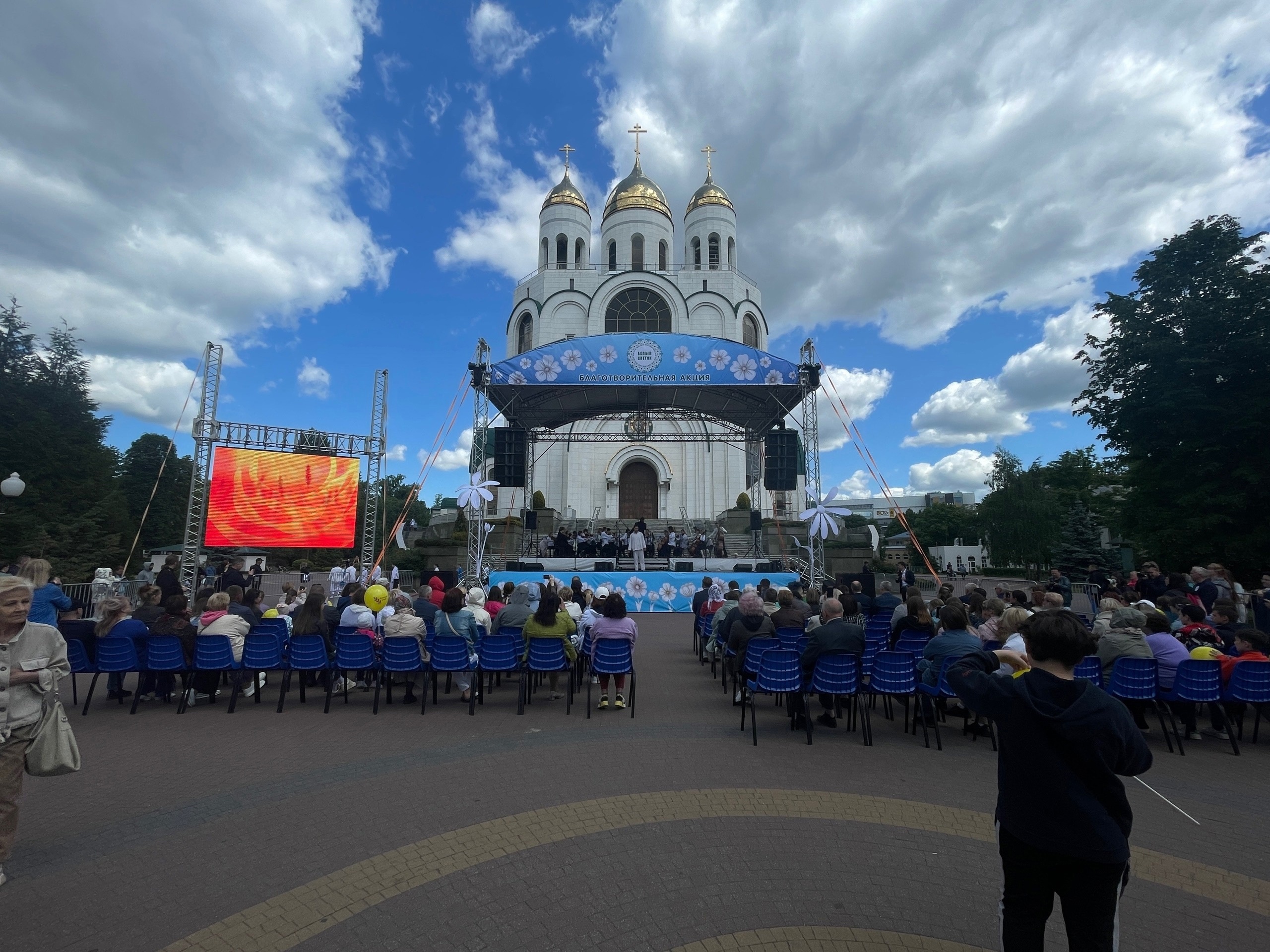 Благотворительная акция  "Белый цветок"